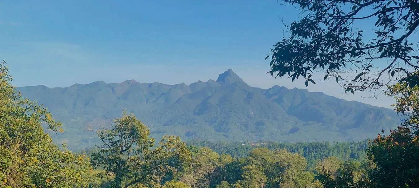 Kawisari Coffee Farm Shop & Eatery Bali venue image
