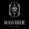 Malverde Tequileria & Nightclub logo or avatar