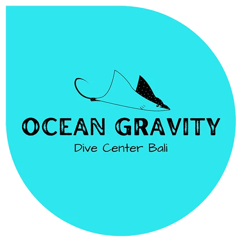 Ocean Gravity Bali logo or avatar