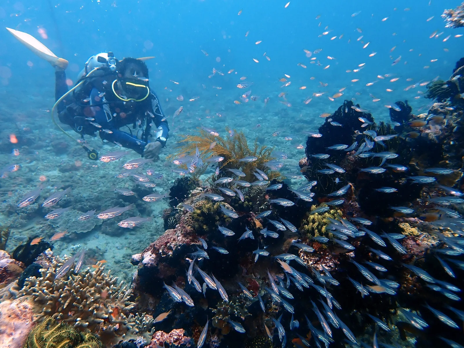 Ocean Gravity Bali venue image