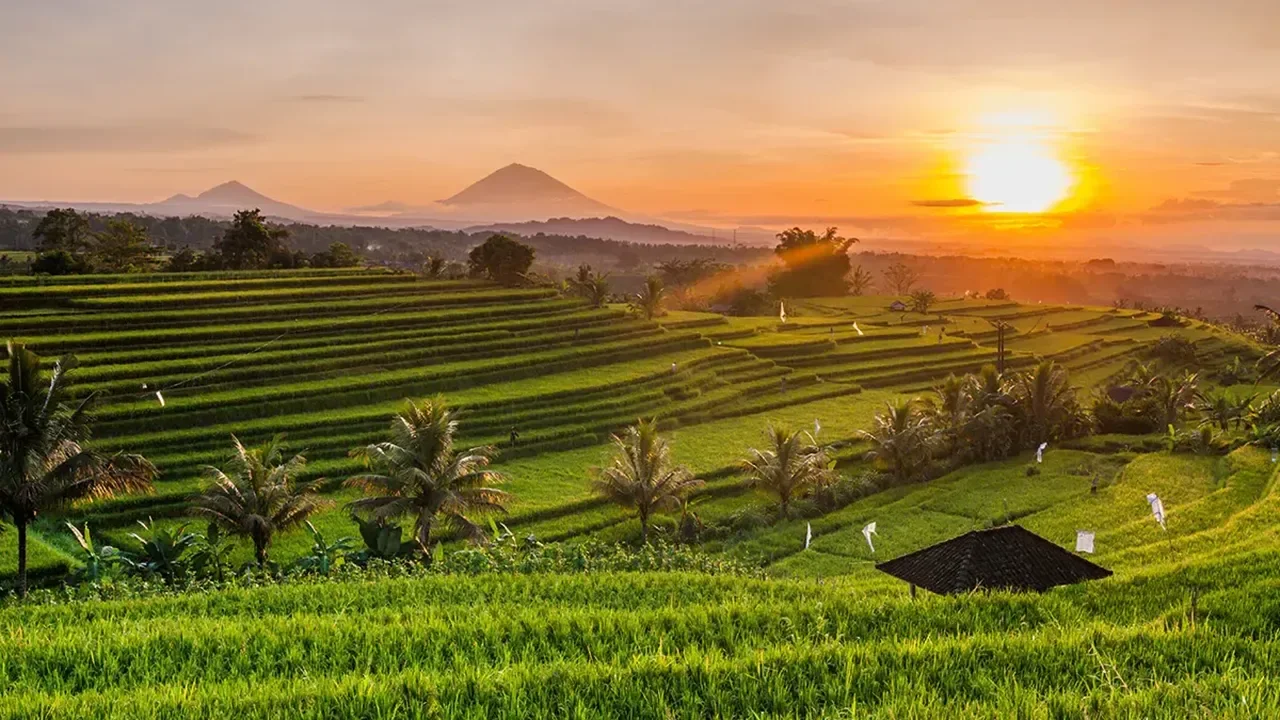 Tatu Tatu Ink Club Ubud venue image